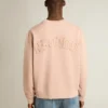 Hanorac roz pudră cu logo inversat pe spate - Jersey Capsule