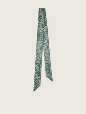 Set de două panglici din țesătură diagonală cu model paisley verde