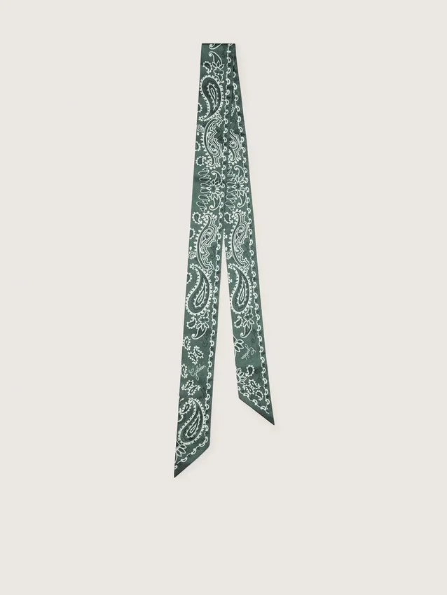 Set de două panglici din țesătură diagonală cu model paisley verde