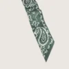 Set de două panglici din țesătură diagonală cu model paisley verde