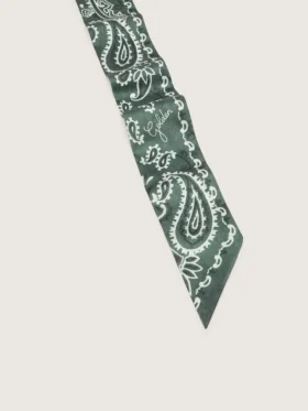 Set de două panglici din țesătură diagonală cu model paisley verde