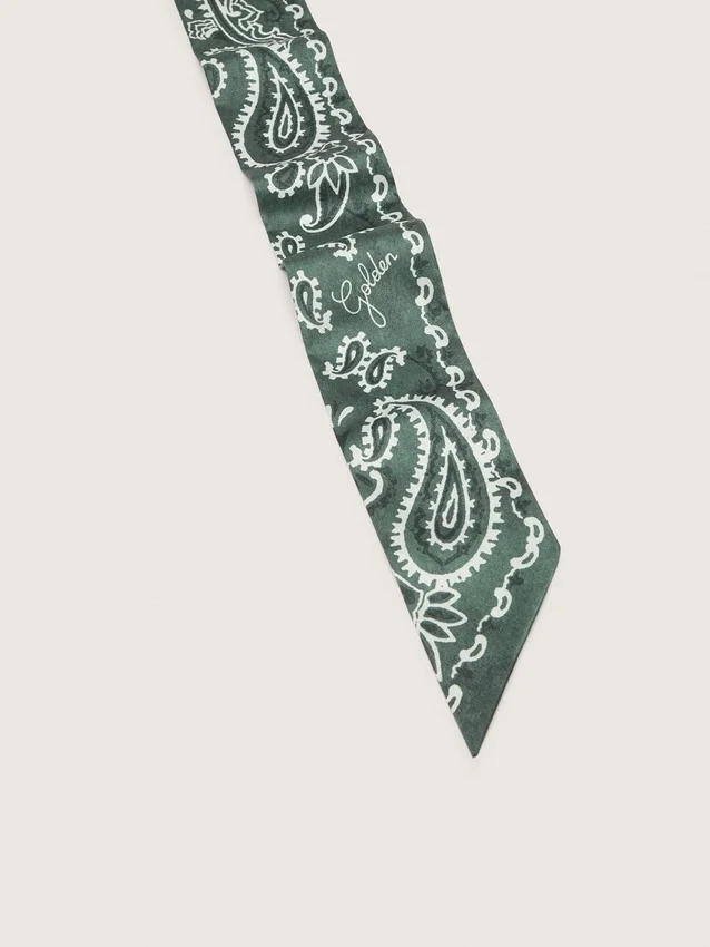 Set de două panglici din țesătură diagonală cu model paisley verde